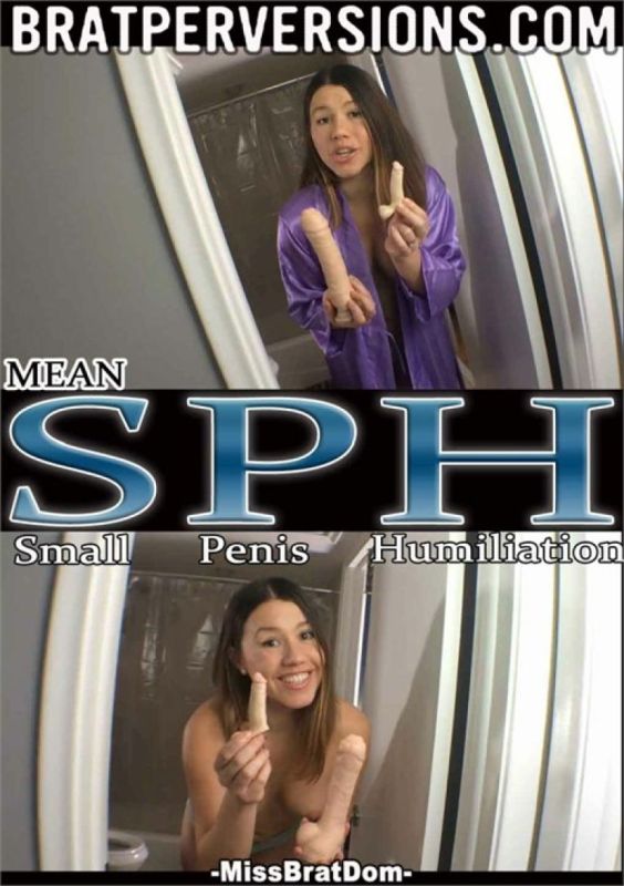 平均SPH